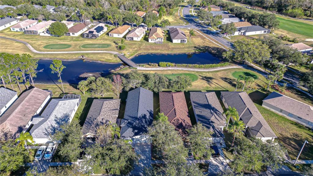 18109 CANAL POINTE Street, TAMPA, FL 33647 photo 4