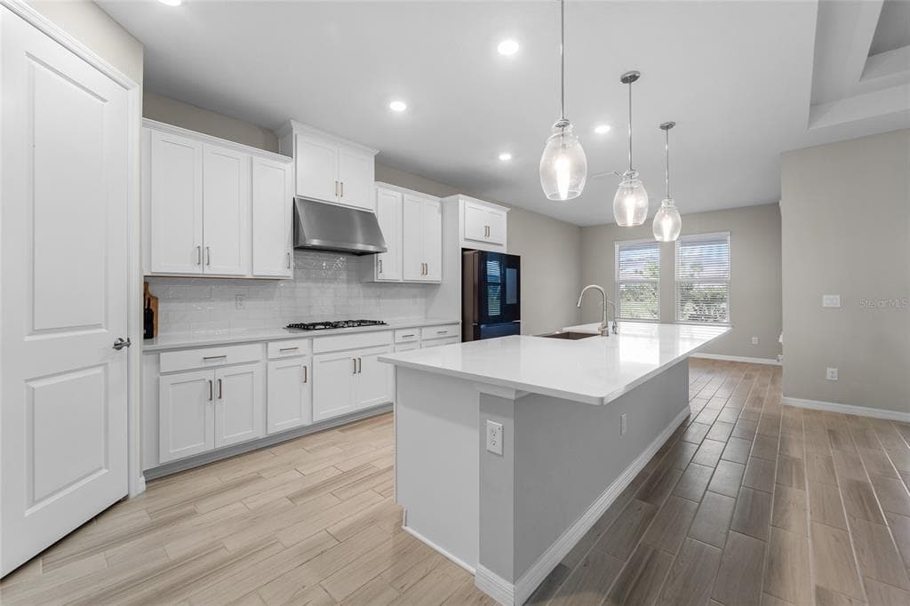 2347 OVERFALLS PLACE, WESLEY CHAPEL, FL 33543 photo 4