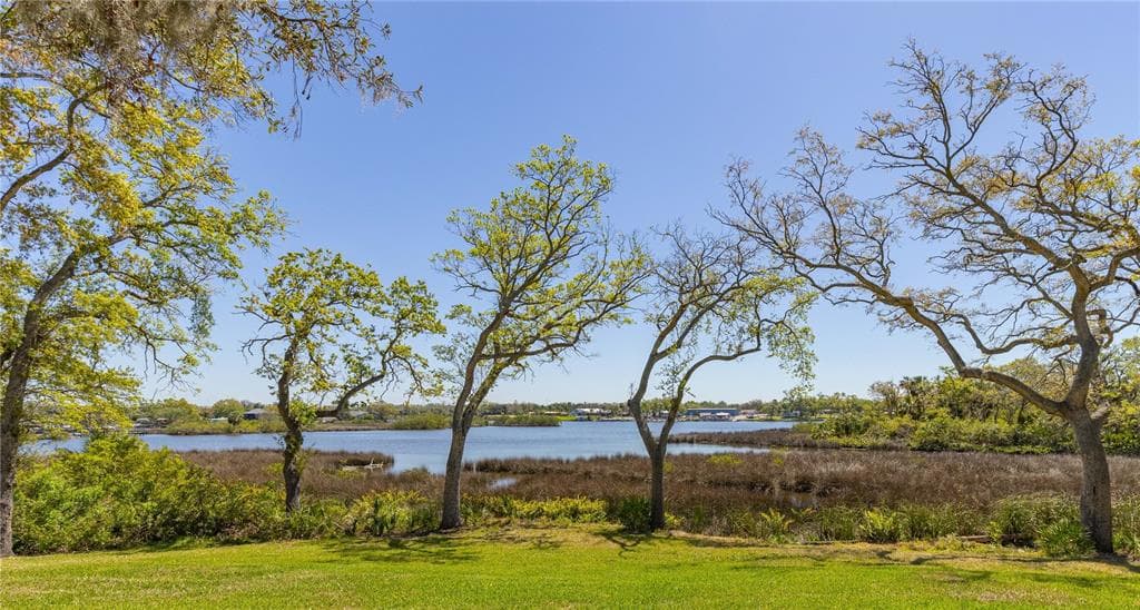 8910 EAGLE WATCH Drive, RIVERVIEW, FL 33578 photo 2