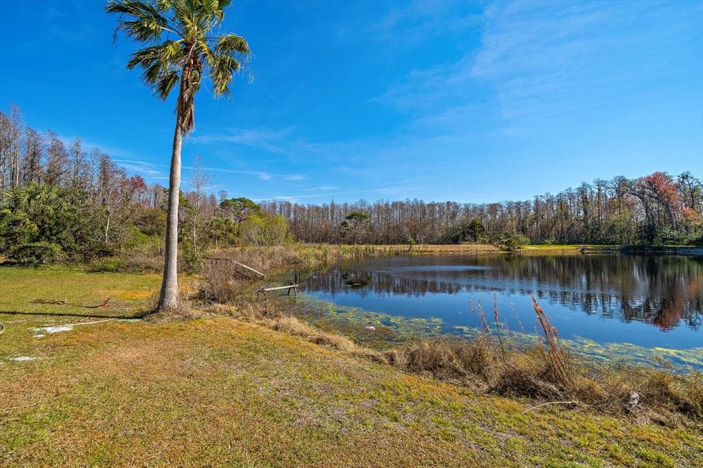 18419 TYLER Road, ODESSA, FL 33556 photo 5