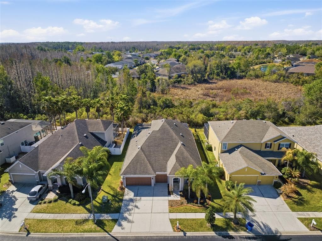 31520 HOLCOMB PASS, WESLEY CHAPEL, FL 33543 photo 5