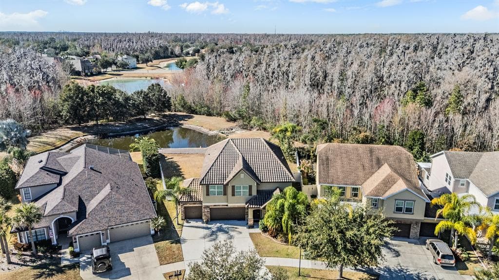 19230 PEPPER GRASS DRIVE, TAMPA, FL 33647 photo 5