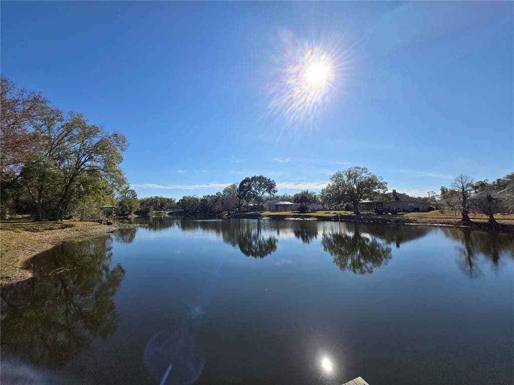 701 DUQUE ROAD, LUTZ, FL 33549 photo 5