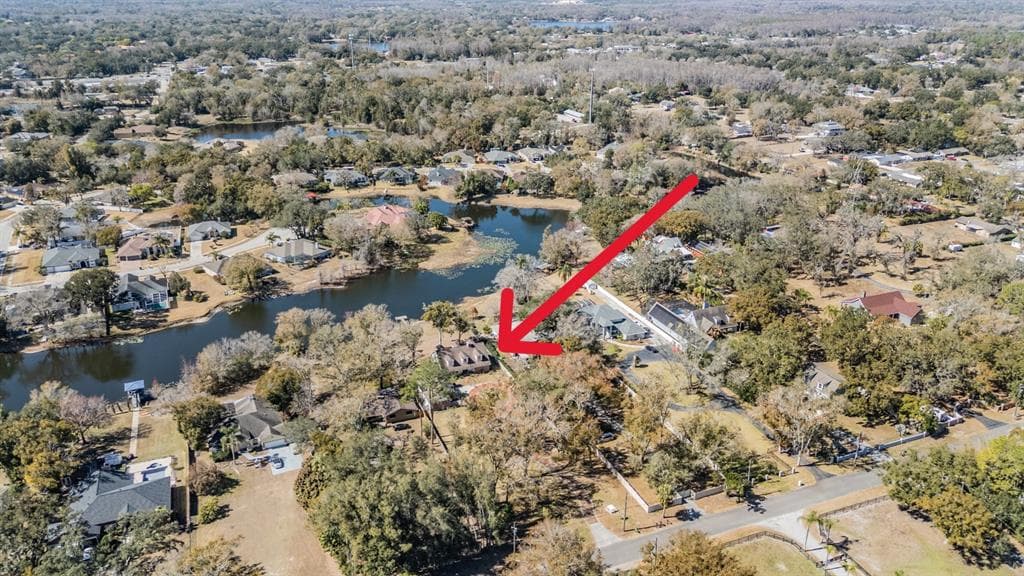 701 DUQUE ROAD, LUTZ, FL 33549 photo 4