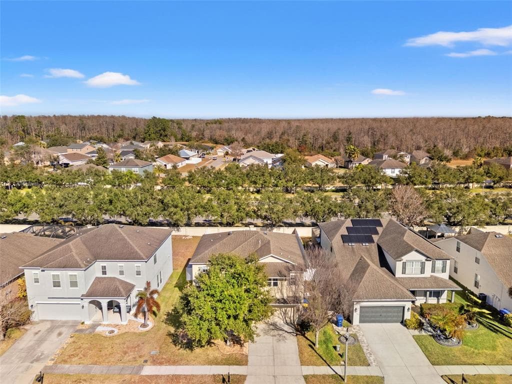 5586 ANGELONIA TERRACE, LAND O LAKES, FL 34639 photo 4