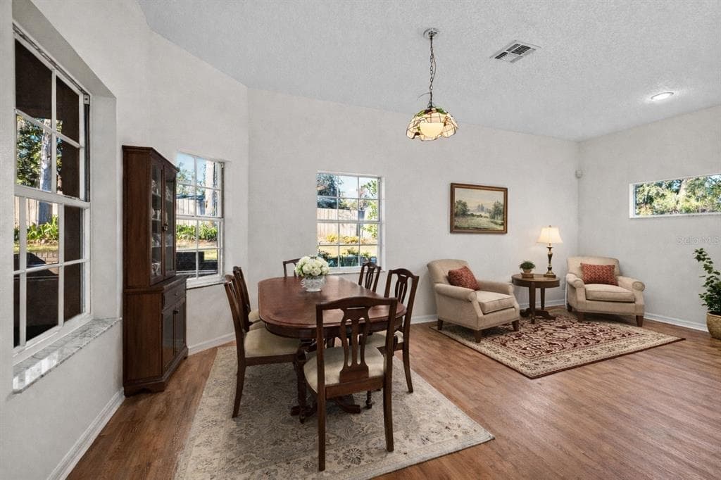 12601 TIMBER RUN, DADE CITY, FL 33525 photo 5