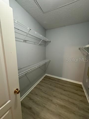 17965 VILLA CREEK DRIVE, TAMPA, FL 33647 photo 4