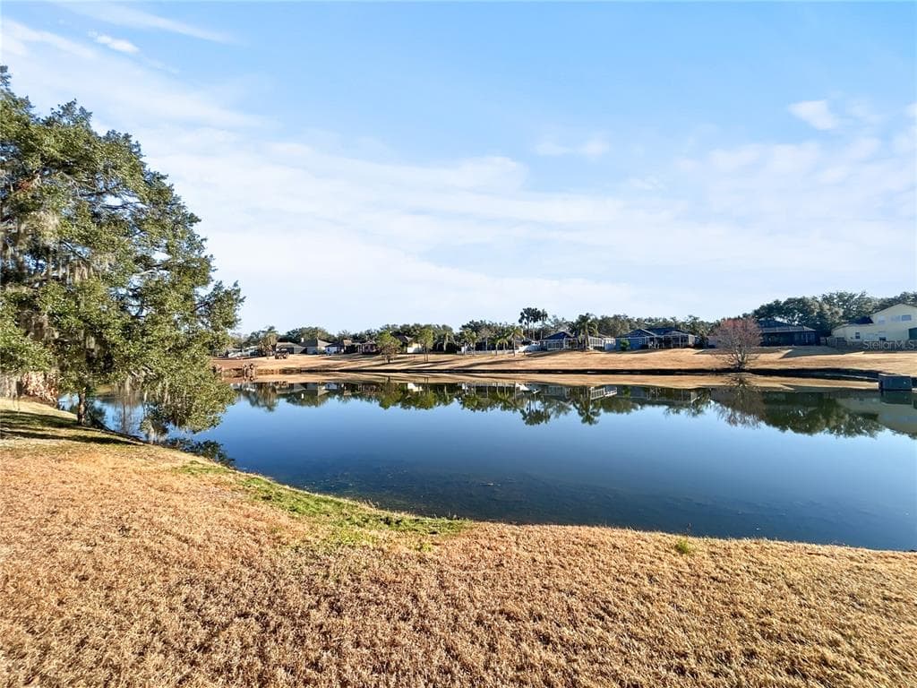 4518 OAK RIVER Circle, VALRICO, FL 33596 photo 3