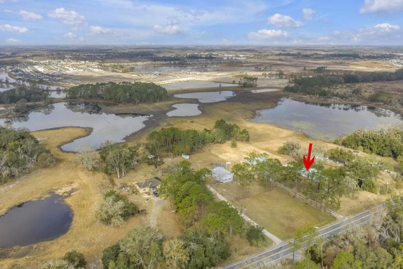 8521 EHREN CUTOFF, LAND O LAKES, FL 34639 photo 4