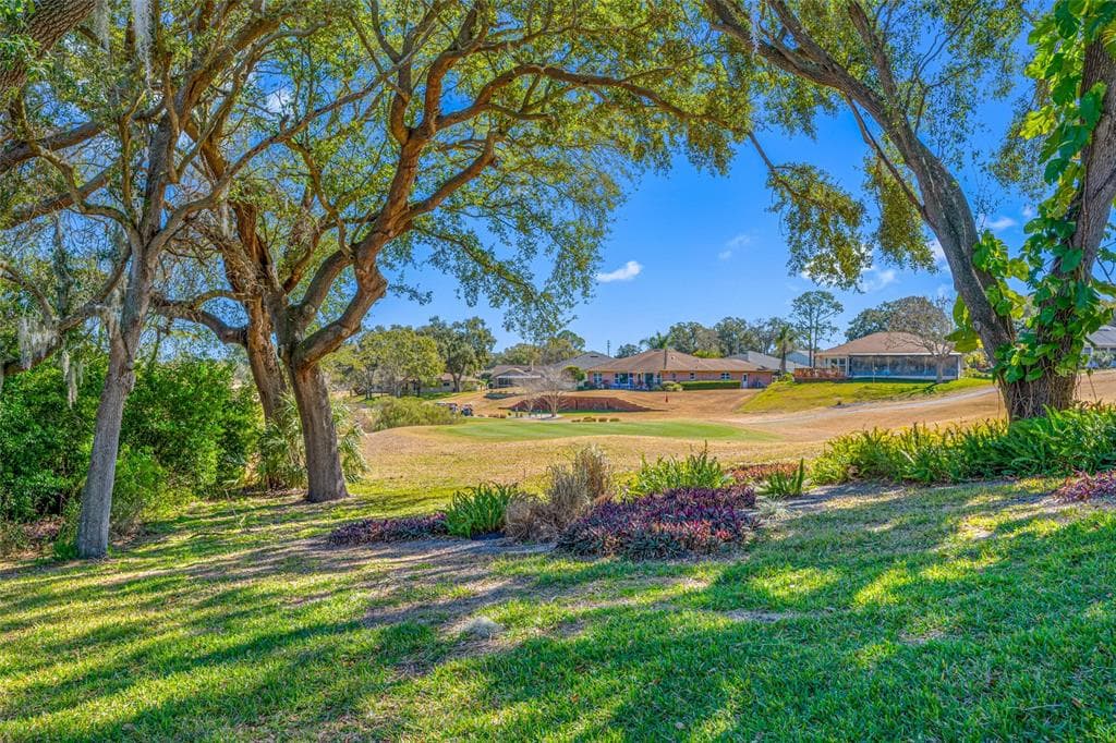 1611 HIGHLAND CLUB LANE, PALM HARBOR, FL 34684 photo 3