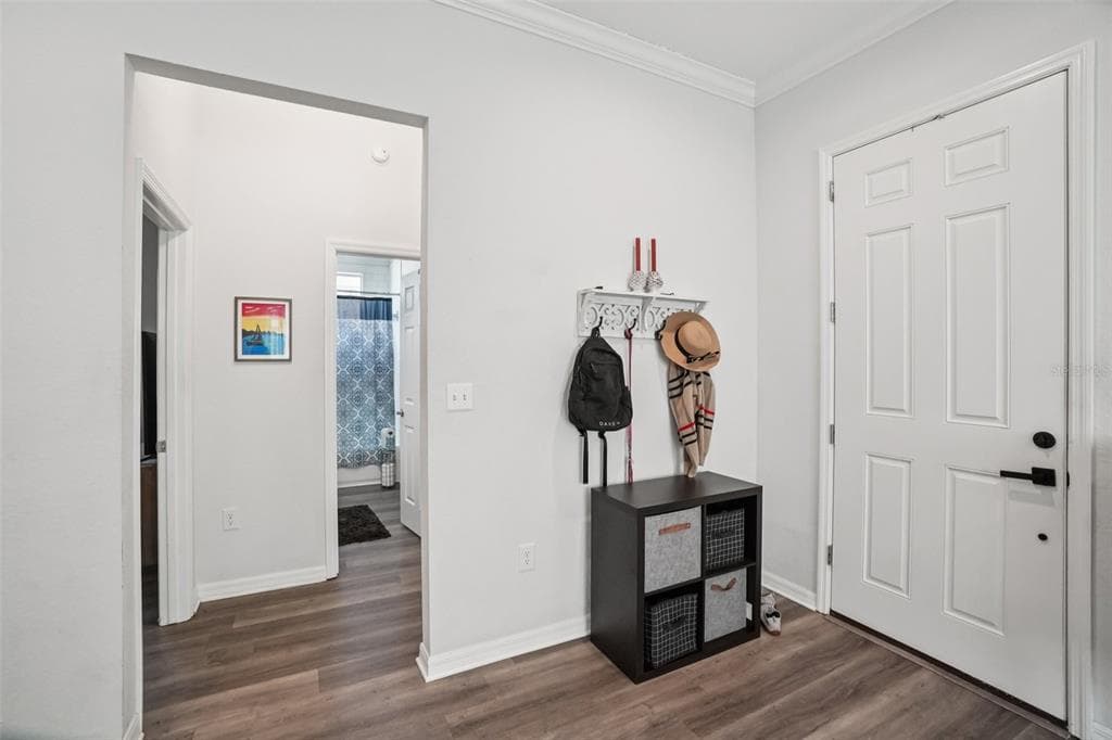 154 SPRUCE STREET, TARPON SPRINGS, FL 34689 photo 3