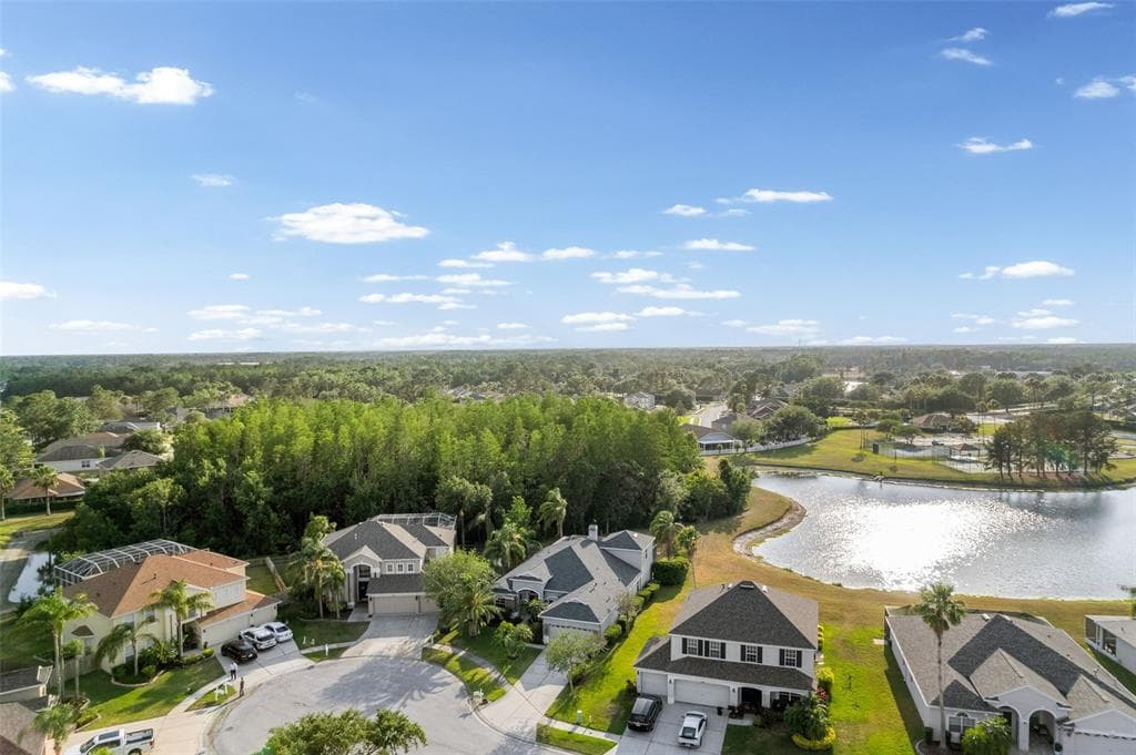 27338 HOLLYBROOK Trail, WESLEY CHAPEL, FL 33544 photo 4