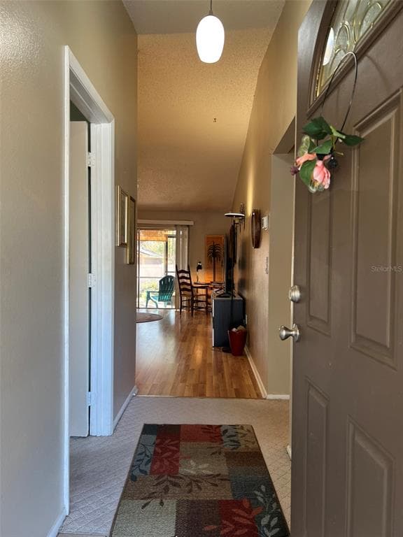 7715 WILLOW PARK DRIVE, TEMPLE TERRACE, FL 33637 photo 3