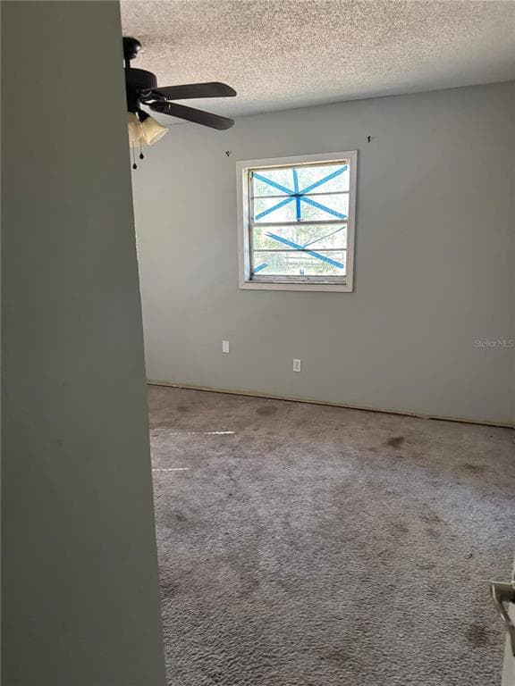 19910 LONGLEAF Drive, LUTZ, FL 33548 photo 5