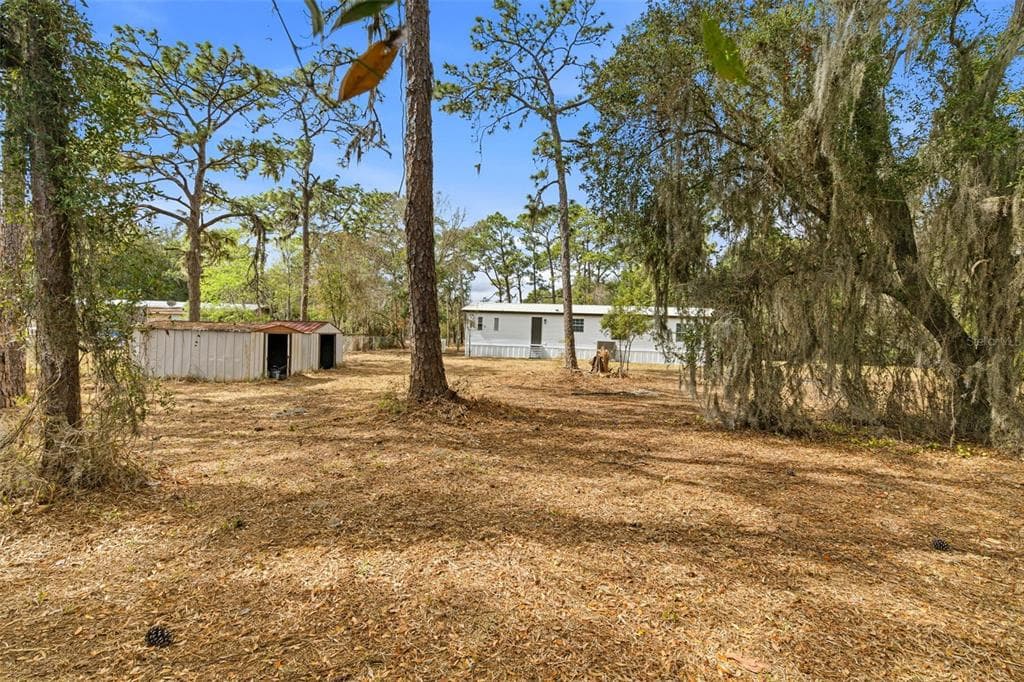 3906 FOX RIDGE BOULEVARD, WESLEY CHAPEL, FL 33543 photo 5