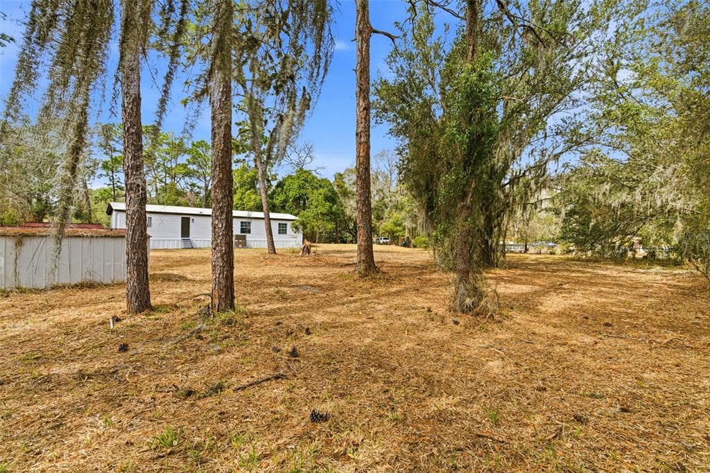 3906 FOX RIDGE BOULEVARD, WESLEY CHAPEL, FL 33543 photo 4