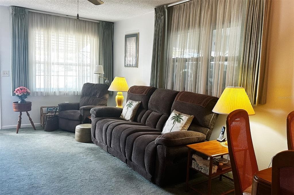 9821 LILY Street, PINELLAS PARK, FL 33782 photo 5