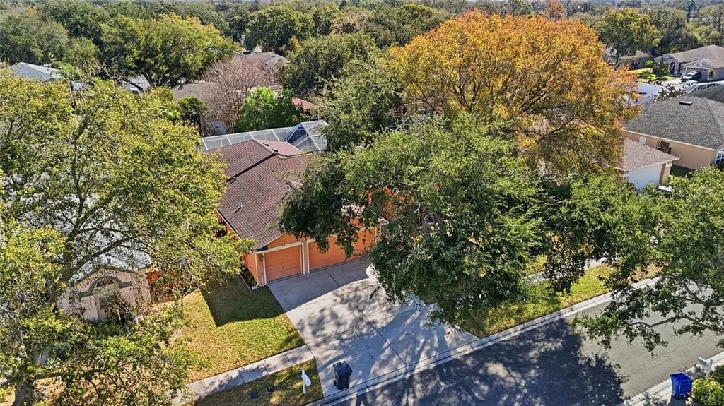 10455 ASHLEY OAKS DRIVE, RIVERVIEW, FL 33578 photo 4