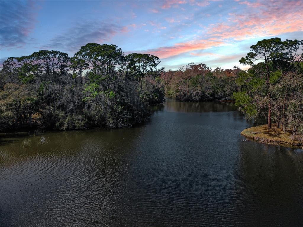 1532 WOODSTREAM DRIVE, OLDSMAR, FL 34677 photo 3