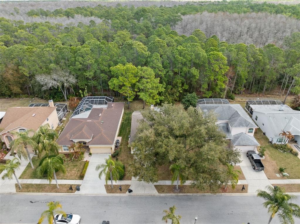 1727 BAYHILL DRIVE, OLDSMAR, FL 34677 photo 3