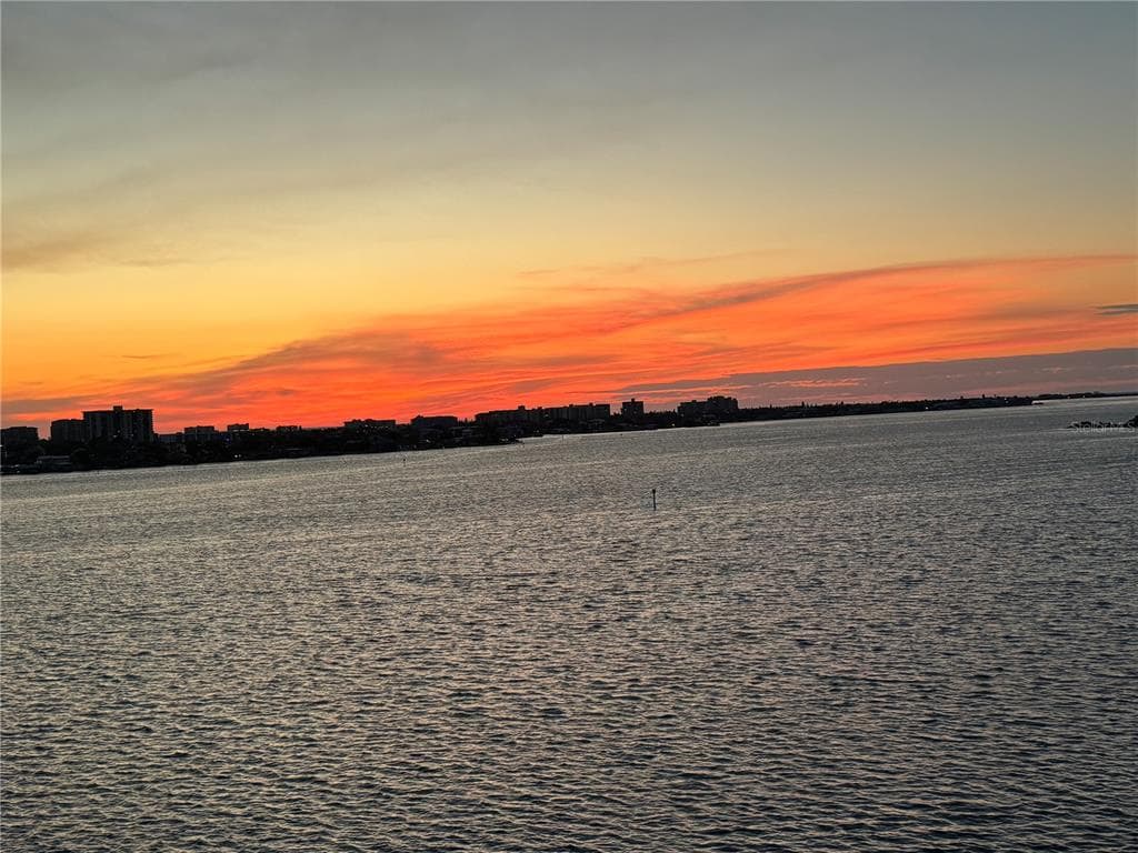 920 OSCEOLA Avenue Unit 702, CLEARWATER, FL 33755 photo 4