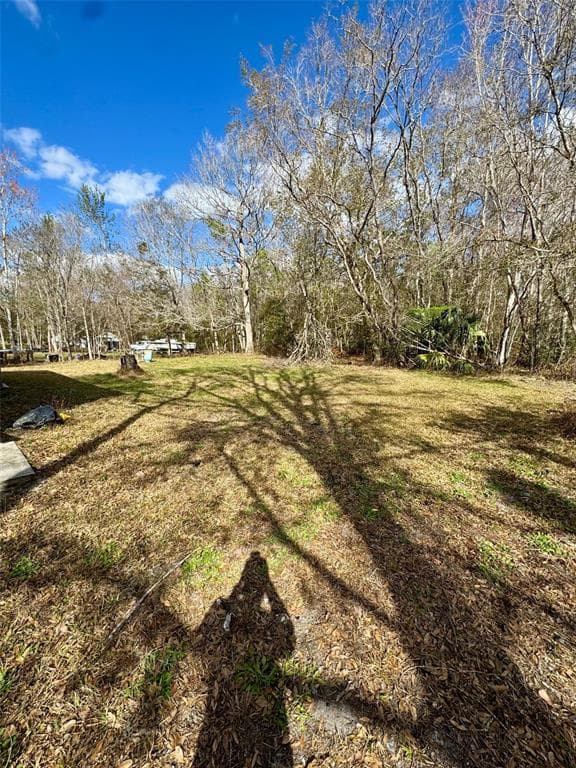 6240 WOODSMAN DRIVE, ZEPHYRHILLS, FL 33544 photo 4