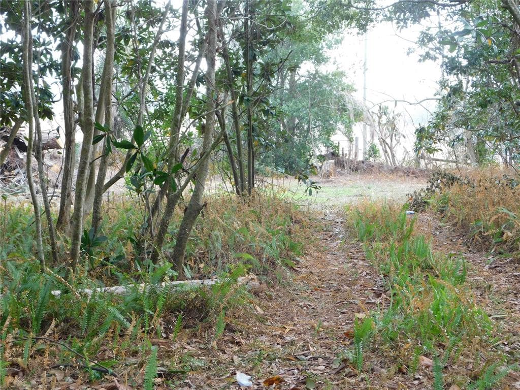 40211 FRIAR TUCK Trail, ZEPHYRHILLS, FL 33540 photo 5