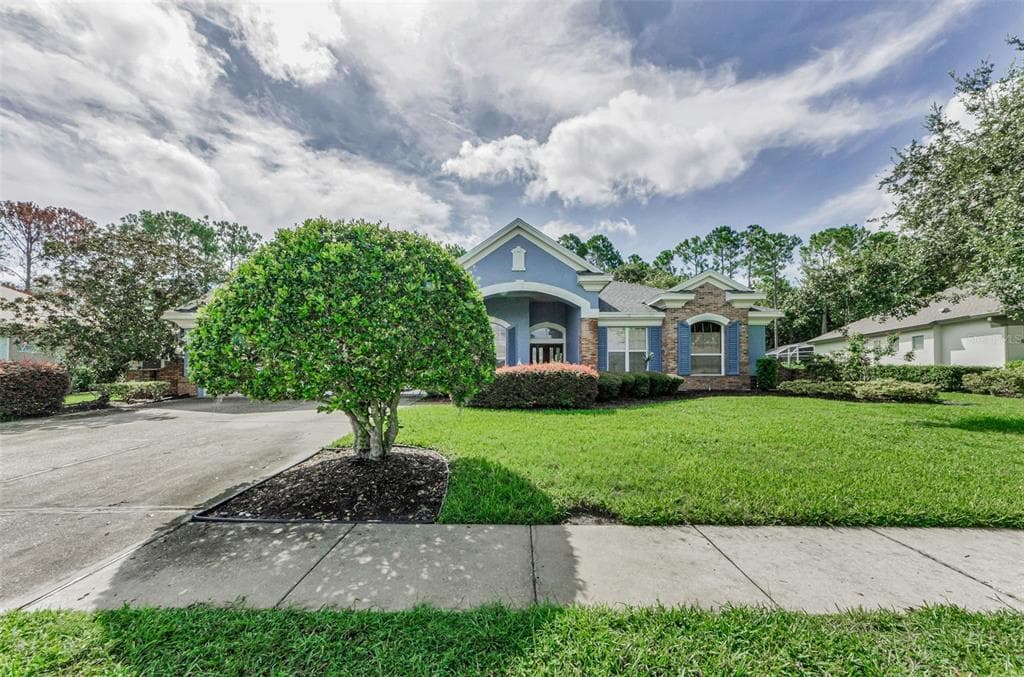 3972 MIMOSA PLACE, PALM HARBOR, FL 34685 photo 5