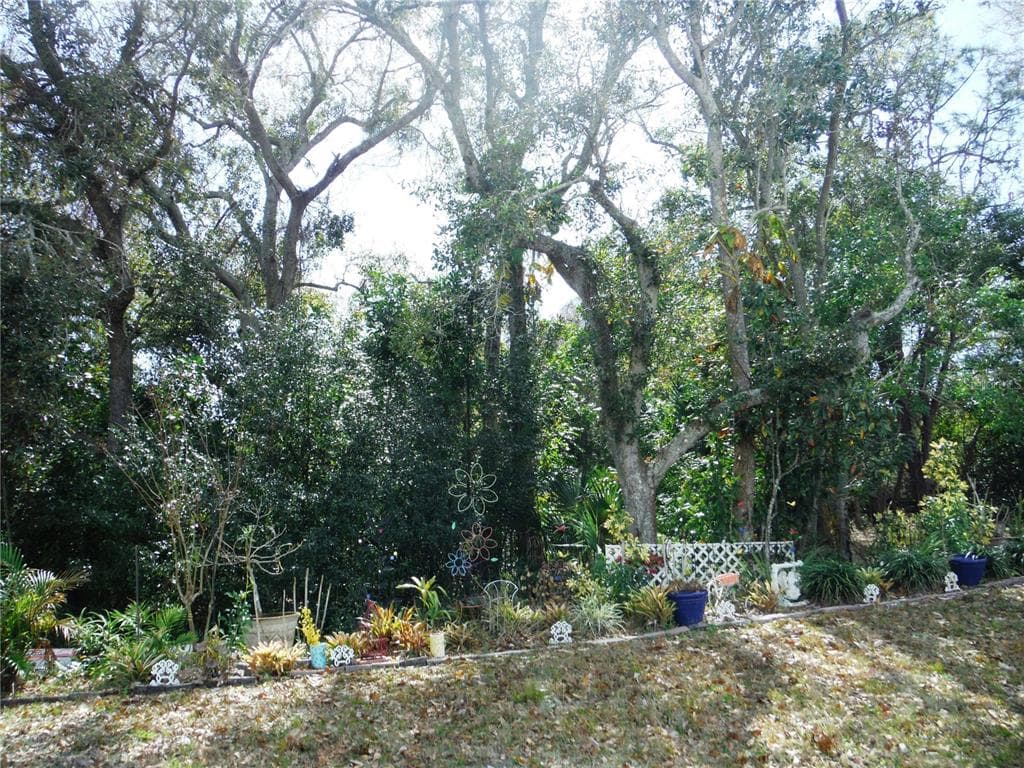 124 JUNIPERUS Drive Unit 45, SAFETY HARBOR, FL 34695 photo 2