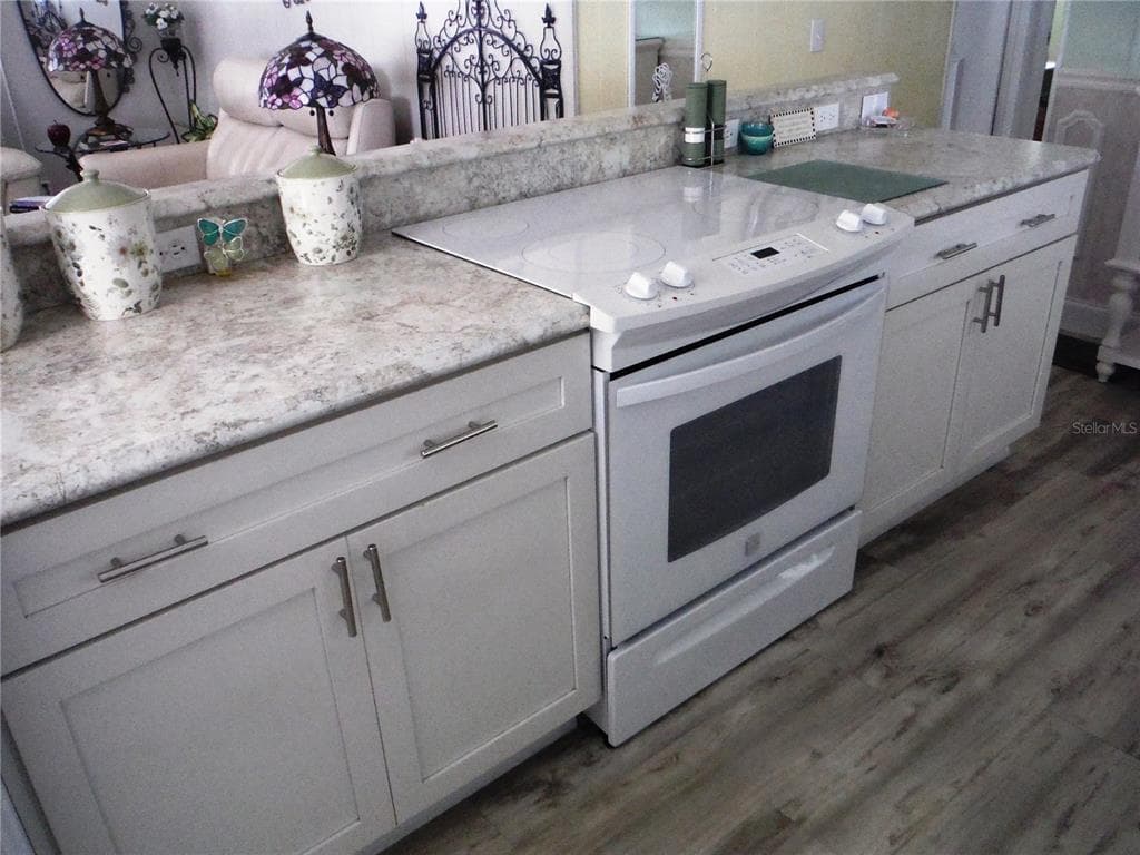 124 JUNIPERUS Drive Unit 45, SAFETY HARBOR, FL 34695 photo 4