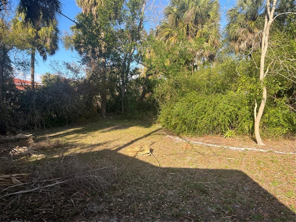 4002 SHAMROCK ROAD, TAMPA, FL 33611 photo 3