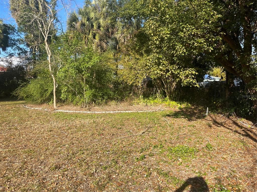 4002 SHAMROCK ROAD, TAMPA, FL 33611 photo 4