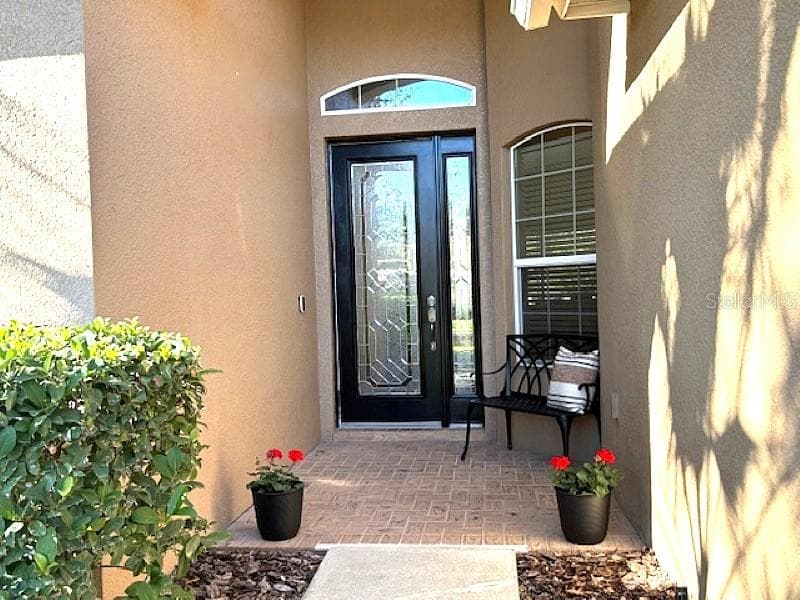 3347 DIAMOND FALLS CIRCLE, LAND O LAKES, FL 34638 photo 2