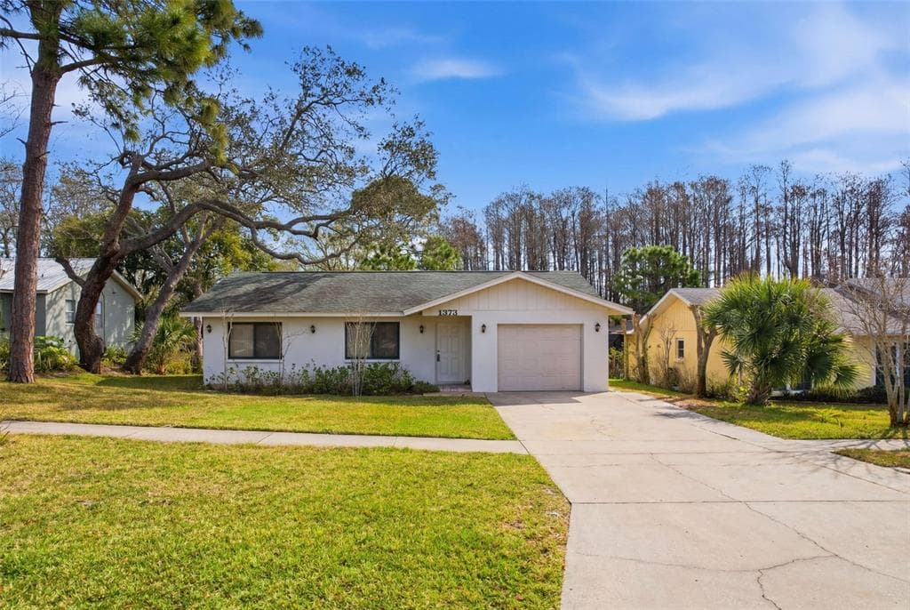 1373 DISSTON AVENUE, TARPON SPRINGS, FL 34689 photo 5