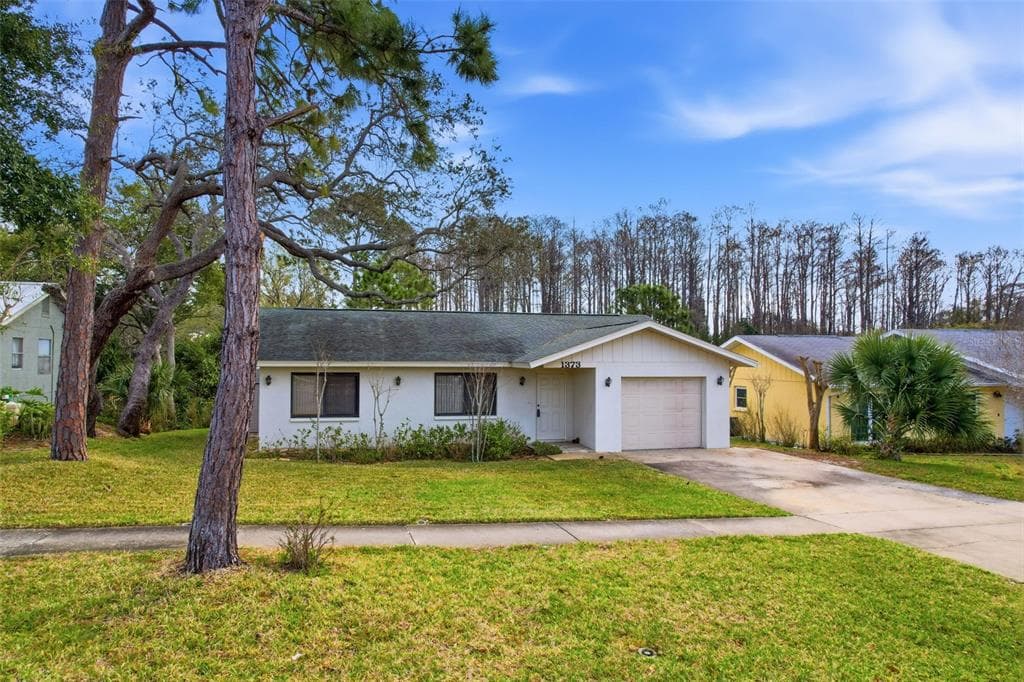 1373 DISSTON AVENUE, TARPON SPRINGS, FL 34689 photo 4