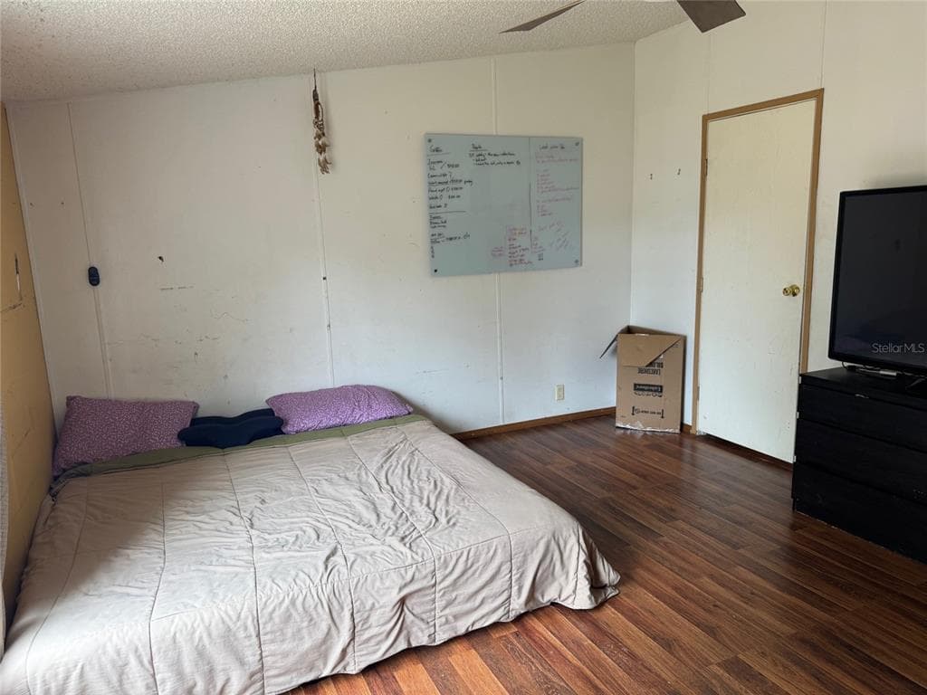 5236 RAINBOW SKY Drive, PLANT CITY, FL 33566 photo 5