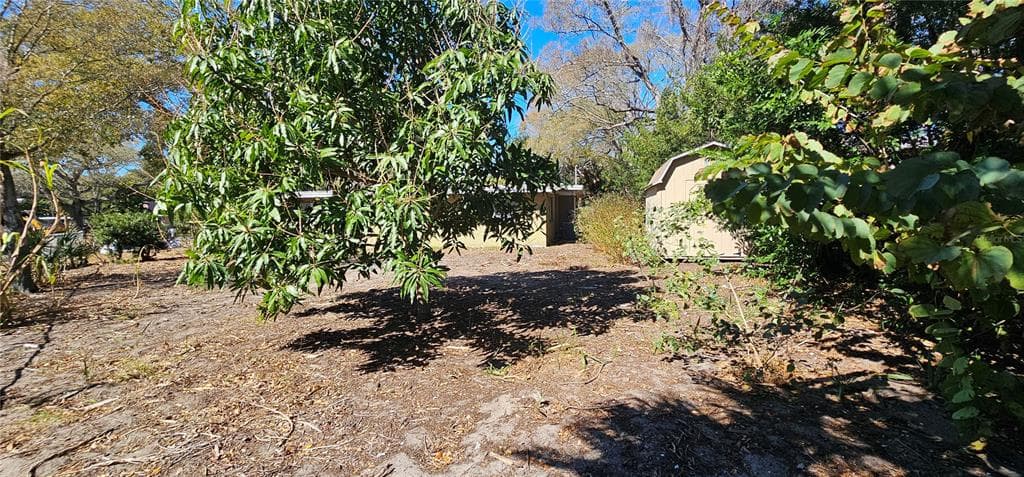 1516 ADELE PLACE, LARGO, FL 33770 photo 3