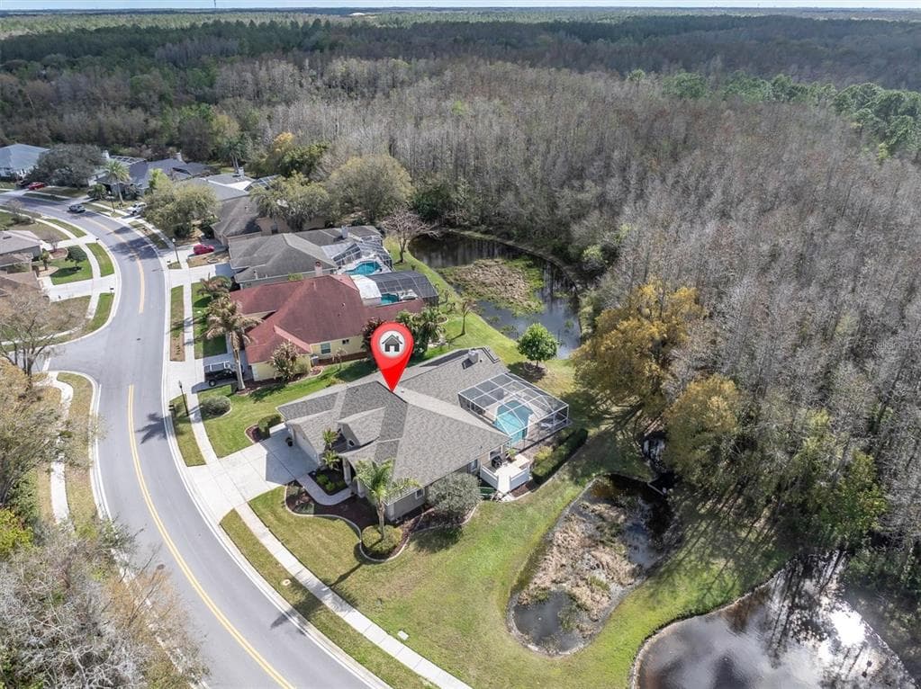 1105 ARLINBROOK DRIVE, TRINITY, FL 34655 photo 4