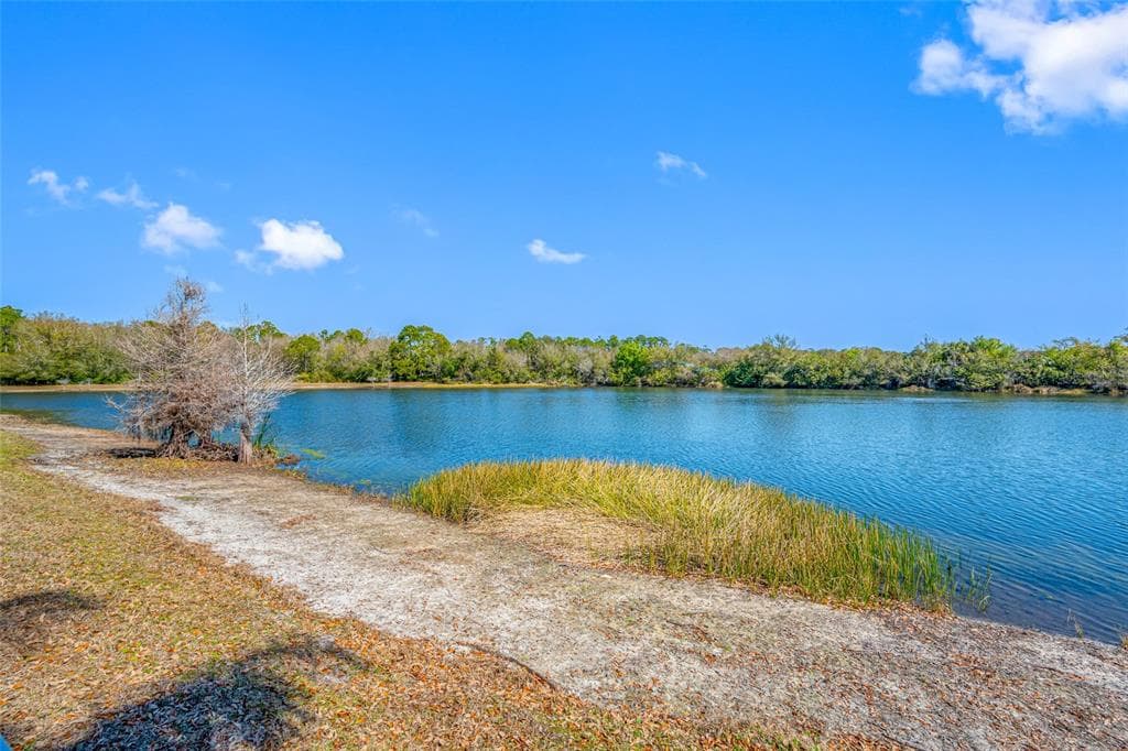 8713 IMPERIAL COURT, TAMPA, FL 33635 photo 2