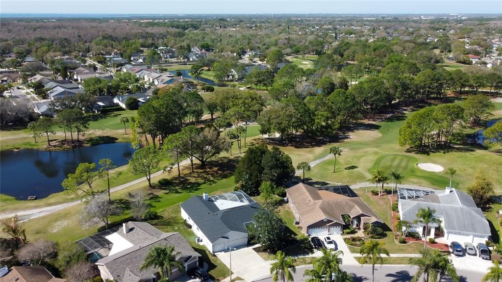 11230 BLOOMINGTON DRIVE, TAMPA, FL 33635 photo 3