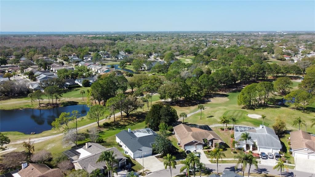 11230 BLOOMINGTON DRIVE, TAMPA, FL 33635 photo 4