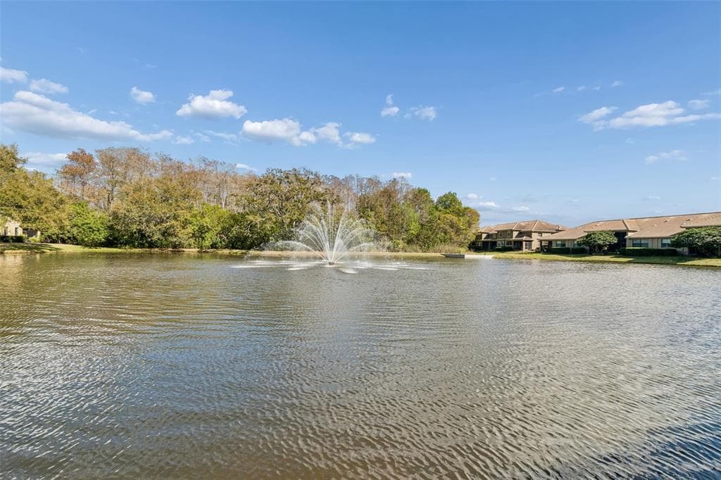 4813 MICHELLE LANE, PALM HARBOR, FL 34684 photo 2