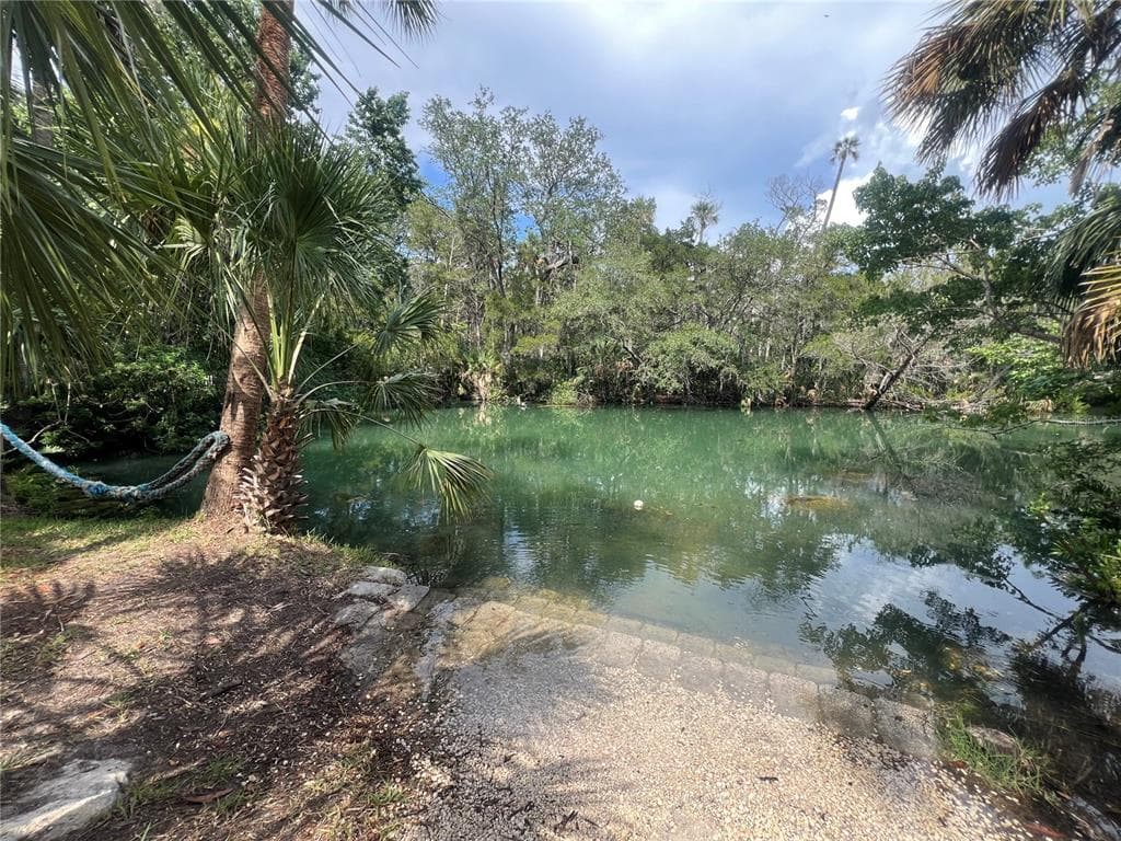 6241 COLONY CIRCLE, WEEKI WACHEE, FL 34607 photo 5