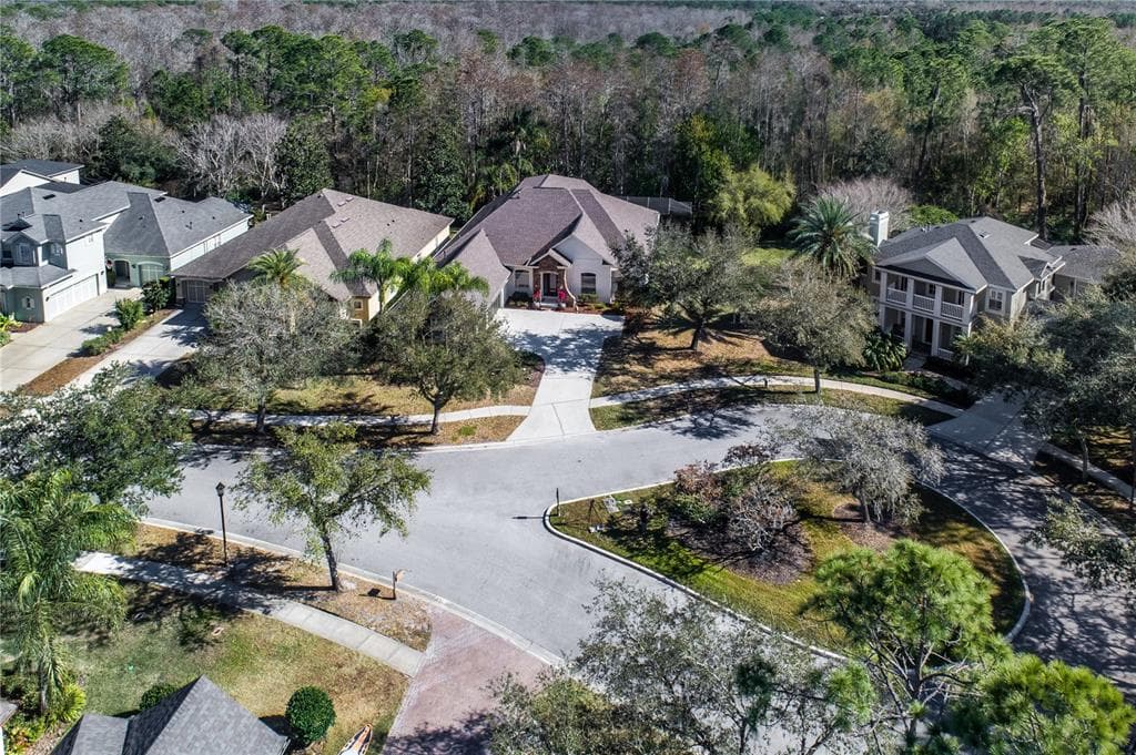 12116 SAN CHALIFORD COURT, TAMPA, FL 33626 photo 4