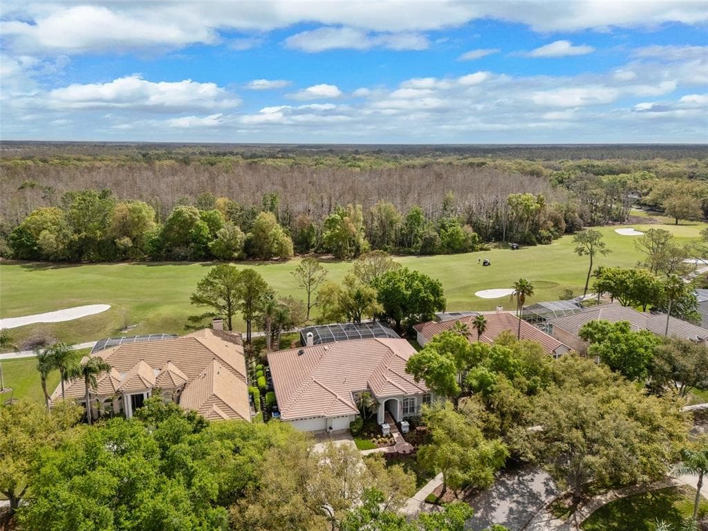 17815 OSPREY POINTE Place, TAMPA, FL 33647 photo 2