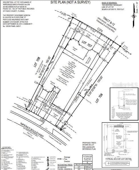 30365 IMPERATI BOULEVARD, WESLEY CHAPEL, FL 33543 photo 4