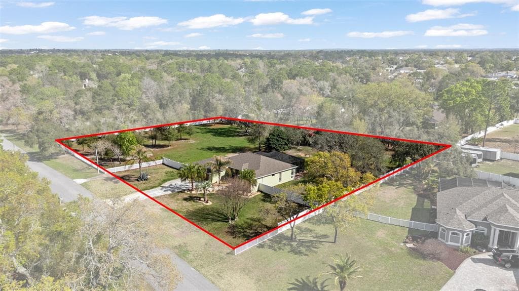 1378 MATTHEW Avenue, SPRING HILL, FL 34609 photo 3