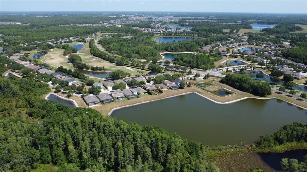 3814 EVERGREEN OAKS Drive, LUTZ, FL 33558 photo 5