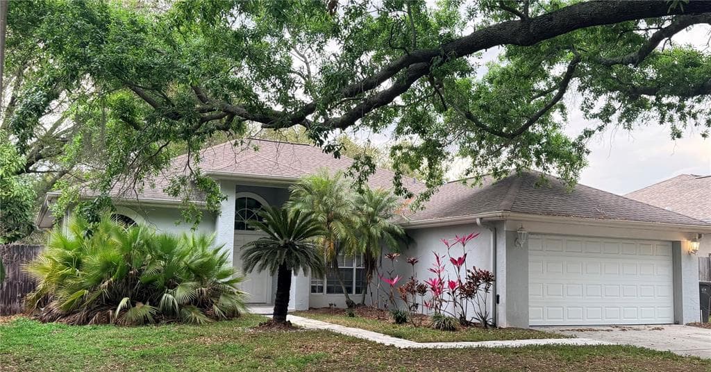 3820 CYPRESS MEADOWS ROAD, TAMPA, FL 33624 photo 2