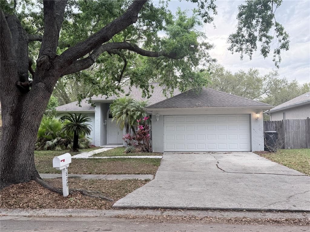 3820 CYPRESS MEADOWS ROAD, TAMPA, FL 33624